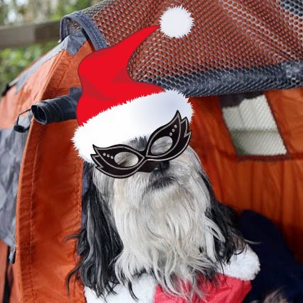 Meet your Posher, Maheen